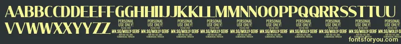 MollySerifC Bo PERSONAL Font – Yellow Fonts on Black Background