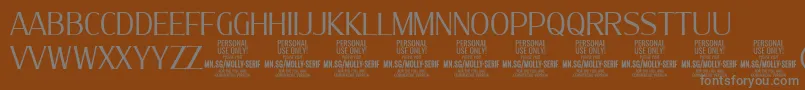 MollySerifC Li PERSONAL-Schriftart – Graue Schriften auf braunem Hintergrund