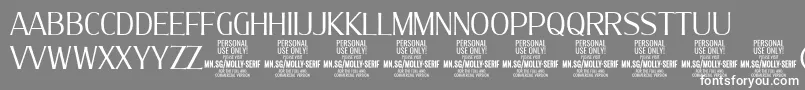 MollySerifC Li PERSONAL Font – White Fonts on Gray Background