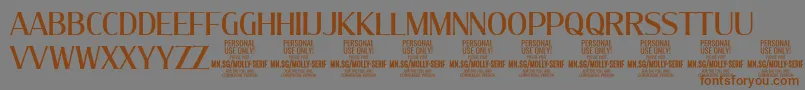 MollySerifC Me PERSONAL Font – Brown Fonts on Gray Background