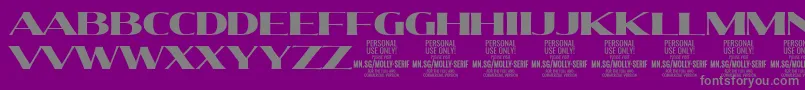 MollySerifE Bl PERSONAL-Schriftart – Graue Schriften auf violettem Hintergrund