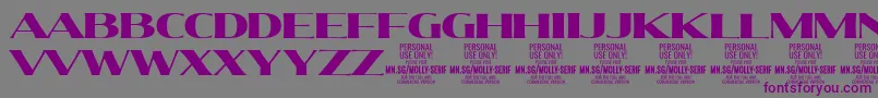 MollySerifE Bl PERSONAL-fontti – violetit fontit harmaalla taustalla