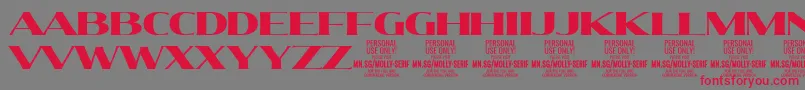 MollySerifE Bl PERSONAL Font – Red Fonts on Gray Background