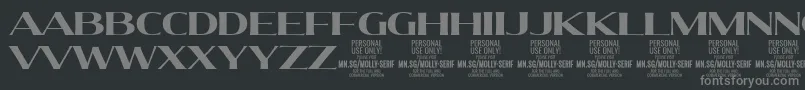 Police MollySerifE Bo PERSONAL – polices grises sur fond noir