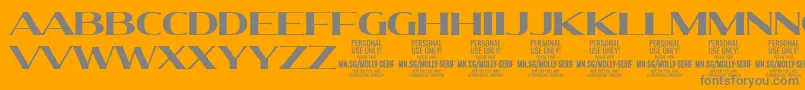 MollySerifE Bo PERSONAL Font – Gray Fonts on Orange Background