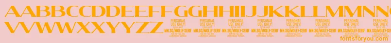 MollySerifE Bo PERSONAL Font – Orange Fonts on Pink Background