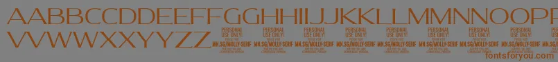 MollySerifE Li PERSONAL Font – Brown Fonts on Gray Background