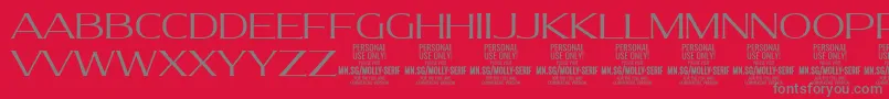MollySerifE Li PERSONAL Font – Gray Fonts on Red Background