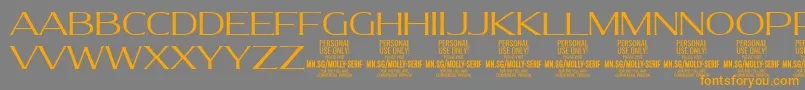 MollySerifE Li PERSONAL Font – Orange Fonts on Gray Background