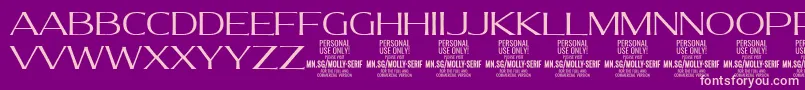 MollySerifE Li PERSONAL Font – Pink Fonts on Purple Background