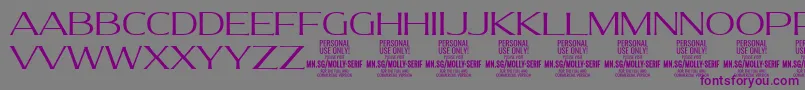 MollySerifE Li PERSONAL-fontti – violetit fontit harmaalla taustalla