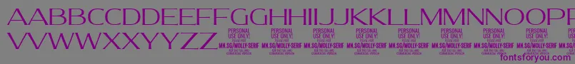 MollySerifE Li PERSONAL-Schriftart – Violette Schriften auf grauem Hintergrund