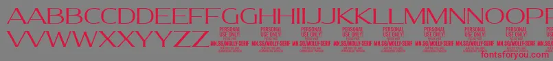 フォントMollySerifE Li PERSONAL – 赤い文字の灰色の背景