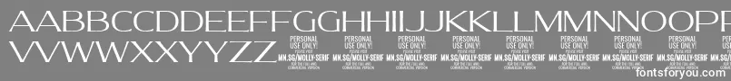 MollySerifE Li PERSONAL Font – White Fonts on Gray Background