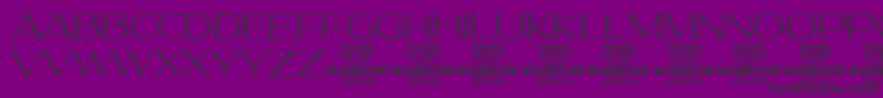 MollySerifE Th PERSONAL Font – Black Fonts on Purple Background