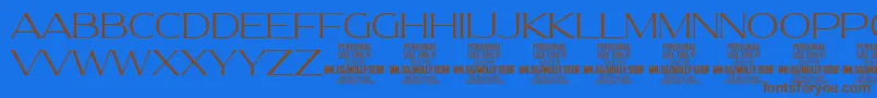 MollySerifE Th PERSONAL Font – Brown Fonts on Blue Background