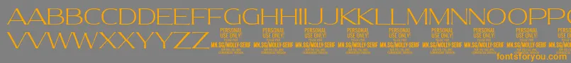 MollySerifE Th PERSONAL Font – Orange Fonts on Gray Background