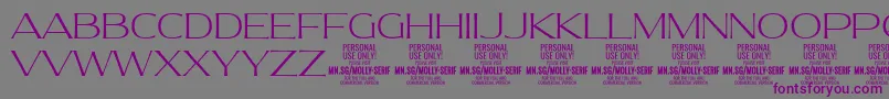 MollySerifE Th PERSONAL Font – Purple Fonts on Gray Background