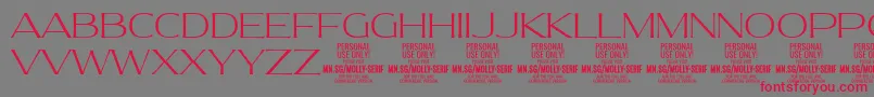 MollySerifE Th PERSONAL Font – Red Fonts on Gray Background