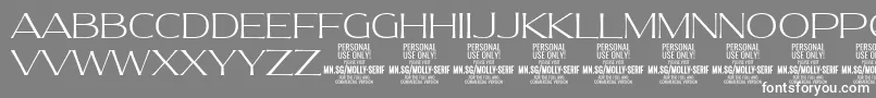 MollySerifE Th PERSONAL-Schriftart – Weiße Schriften auf grauem Hintergrund