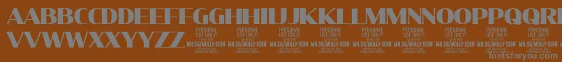 Подробнее о шрифте MollySerifN Bl PERSONAL Шрифт MollySerifN Bl PERSONAL – серые шрифты на коричневом фоне