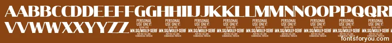 MollySerifN Bl PERSONAL Font – White Fonts on Brown Background