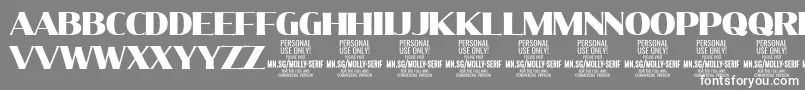 MollySerifN Bl PERSONAL Font – White Fonts on Gray Background