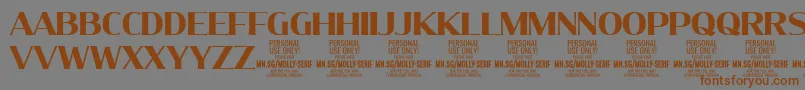 MollySerifN Bo PERSONAL Font – Brown Fonts on Gray Background