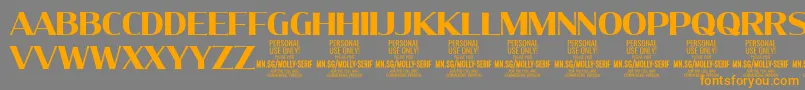 MollySerifN Bo PERSONAL Font – Orange Fonts on Gray Background