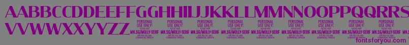 Czcionka MollySerifN Bo PERSONAL – fioletowe czcionki na szarym tle