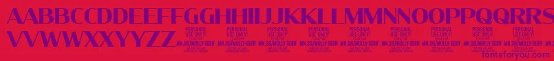 MollySerifN Bo PERSONAL Font – Purple Fonts on Red Background