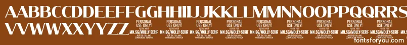 MollySerifN Bo PERSONAL Font – White Fonts on Brown Background