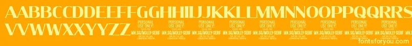 Шрифт MollySerifN Bo PERSONAL – жёлтые шрифты на оранжевом фоне