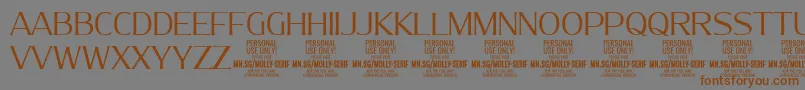 MollySerifN Li PERSONAL Font – Brown Fonts on Gray Background