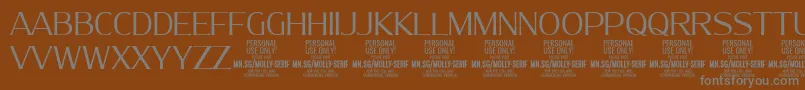 MollySerifN Li PERSONAL-Schriftart – Graue Schriften auf braunem Hintergrund