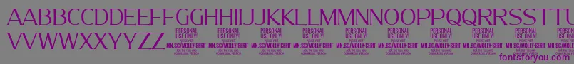 MollySerifN Li PERSONAL Font – Purple Fonts on Gray Background