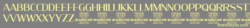 MollySerifN Me PERSONAL Font – Yellow Fonts on Gray Background