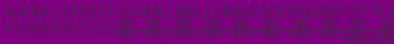 MollySerifN Th PERSONAL-Schriftart – Schwarze Schriften auf violettem Hintergrund
