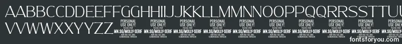 MollySerifN Th PERSONAL Font – White Fonts