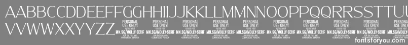 MollySerifN Th PERSONAL-Schriftart – Weiße Schriften auf grauem Hintergrund