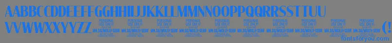 MollySerifXC Bo PERSONAL Font – Blue Fonts on Gray Background