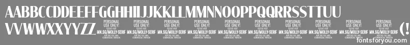 MollySerifXC Bo PERSONAL Font – White Fonts on Gray Background