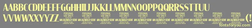 MollySerifXC Bo PERSONAL Font – Yellow Fonts on Gray Background