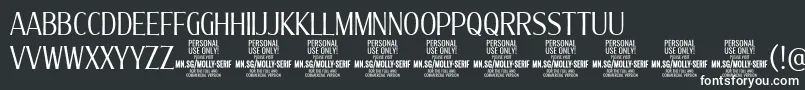 MollySerifXC Li PERSONAL Font – White Fonts