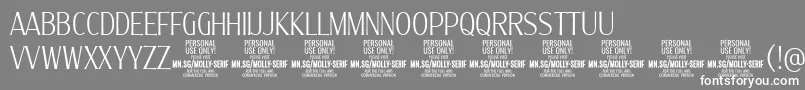 MollySerifXC Th PERSONAL Font – White Fonts on Gray Background