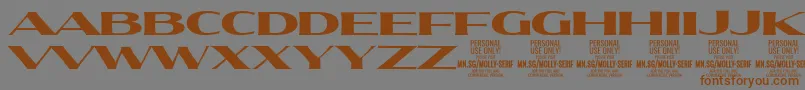 MollySerifXE Bl PERSONAL Font – Brown Fonts on Gray Background