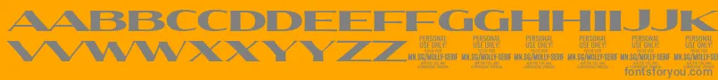 MollySerifXE Bl PERSONAL Font – Gray Fonts on Orange Background