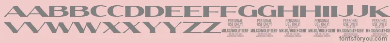 MollySerifXE Bl PERSONAL Font – Gray Fonts on Pink Background