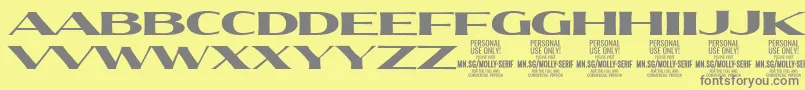 MollySerifXE Bl PERSONAL Font – Gray Fonts on Yellow Background