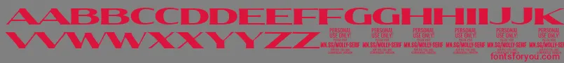 MollySerifXE Bl PERSONAL Font – Red Fonts on Gray Background